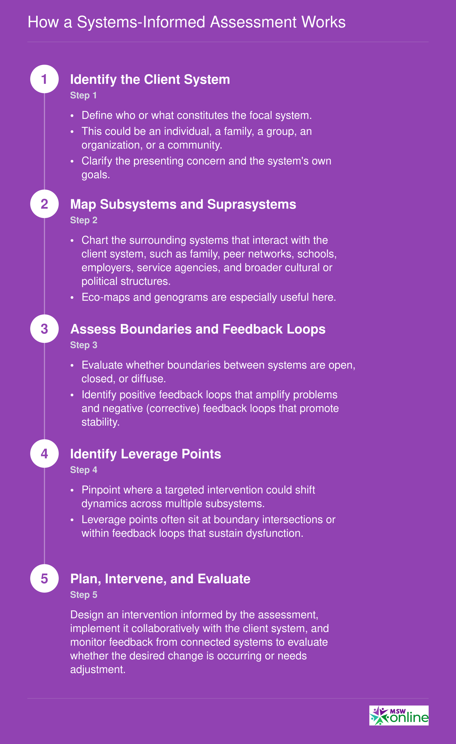 Five-step systems-informed assessment process from identifying the client system through mapping, analyzing feedback loops, finding leverage points, and evaluating intervention outcomes