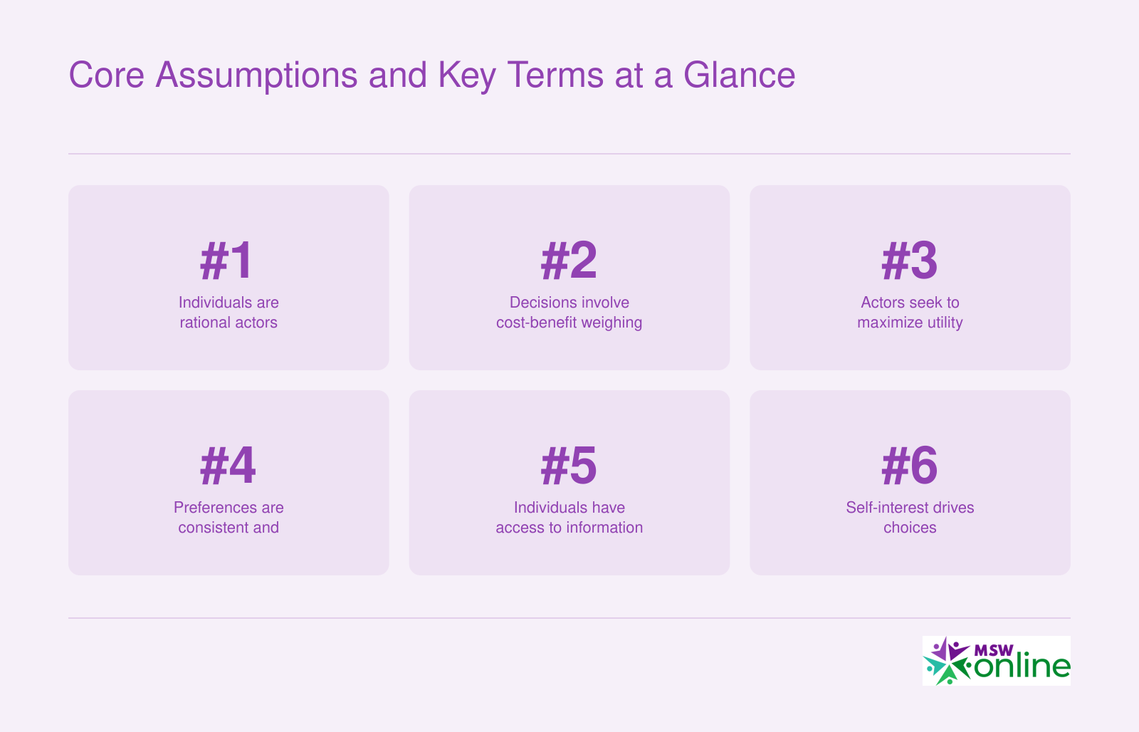 Six core assumptions of rational choice theory listed as numbered principles for student reference