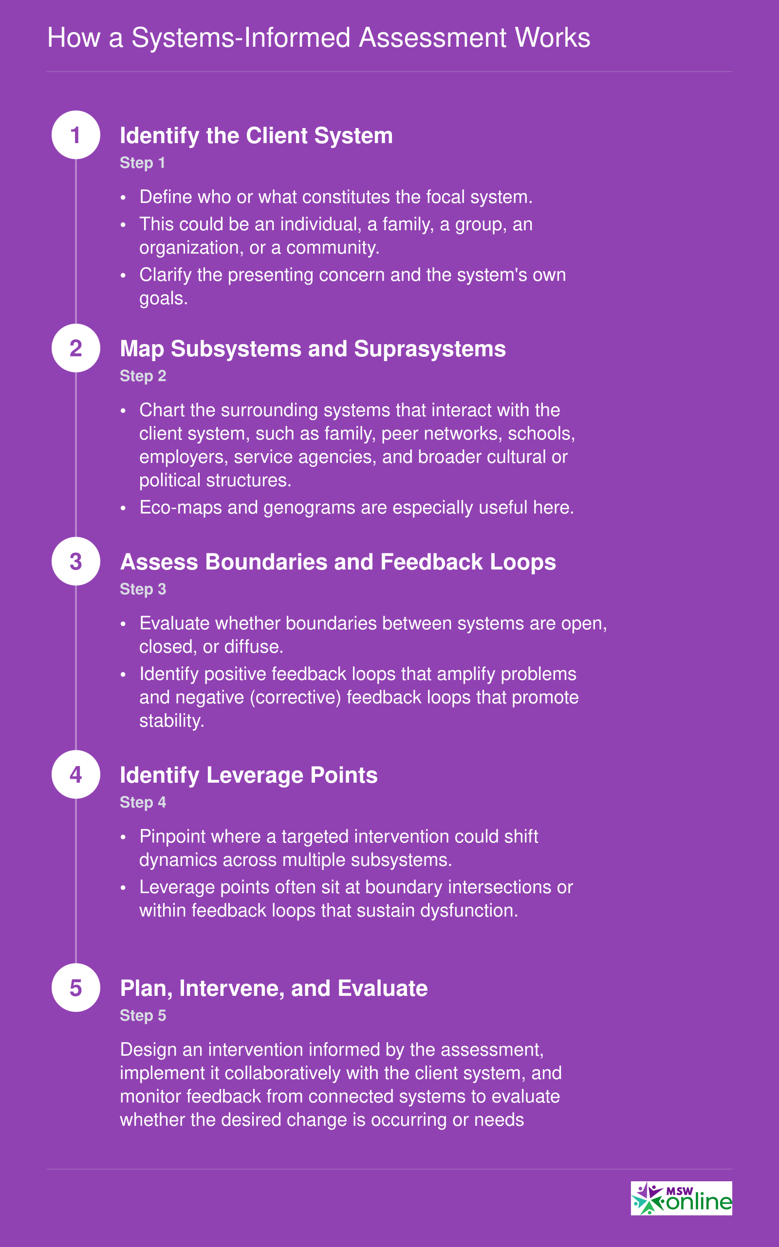 Five-step systems-informed assessment process from identifying the client system through mapping, analyzing feedback loops, finding leverage points, and evaluating intervention outcomes