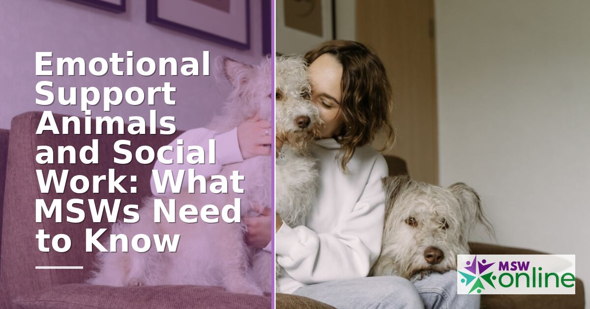 Emotional Support Animals & Social Work: MSW Guide (2026)